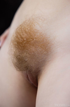 Redhead Hairy Bushes - Vicki Wade