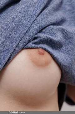 My Sexy Bushes - Spice