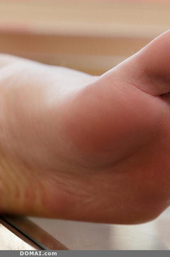 My Sexy Bushes - Spice