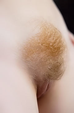 Redhead Hairy Bushes - Vicki Wade